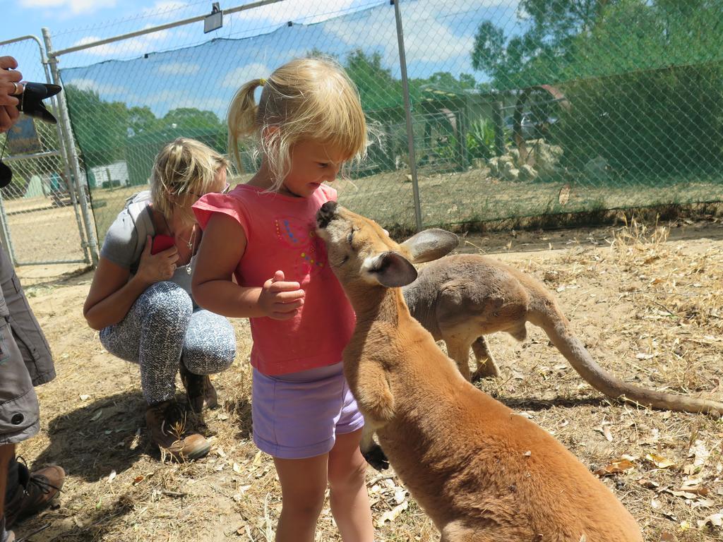 Jurien Beachfront Holiday Units Vila Jurien Bay Quarto foto